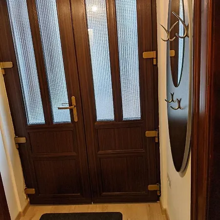 Flora ティミショアラ