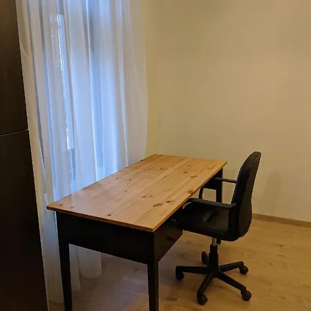 Flora ティミショアラ