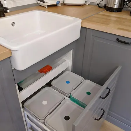 Flora * ティミショアラ