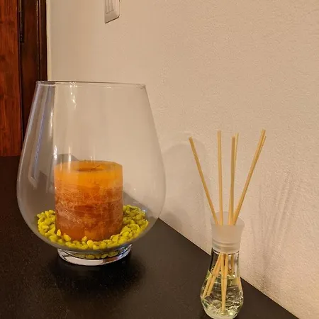 Flora ティミショアラ